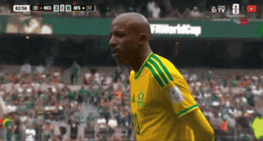 Reaction GIF