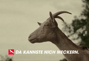 Unser Brandenburg GIF