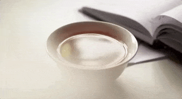 Chai GIF by Ahista Tea
