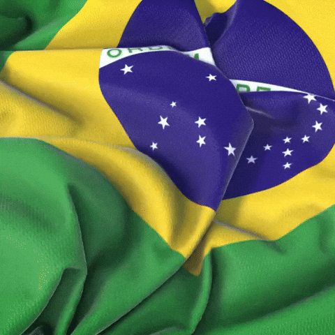 Brasil Na Copa GIF by Agrs Drones Agrícolas
