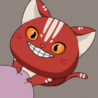 Give Me Cute Cat GIF by Kitaro World