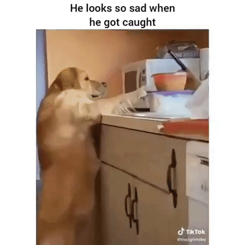 Reaction GIF