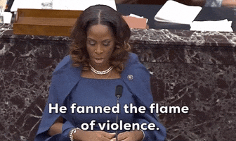 Stacey Plaskett GIF by GIPHY News
