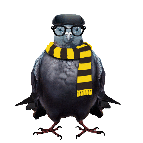 Pigeon Cybersecurity Sticker by Take9