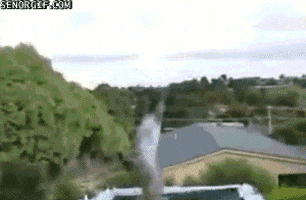 200.gif