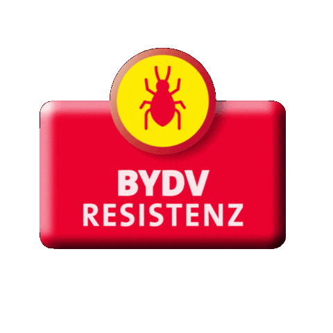 Sticker Cereals Sticker by LG Seeds Deutschland