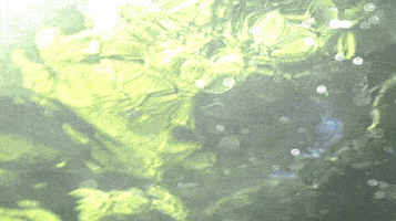 water sky GIF by The NGB