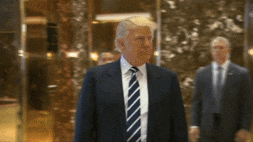 Donald Trump GIF by BFMTV