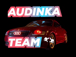 Audinka Team GIF