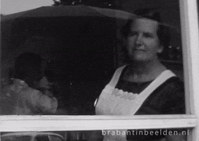 Head Shake Reaction GIF by Brabant in Beelden