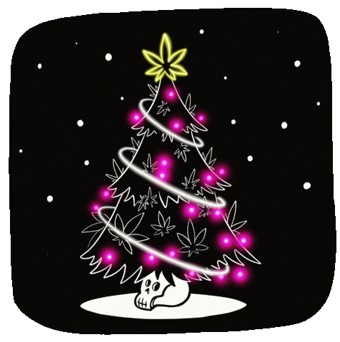 Merry Christmas GIF by Todogrowled