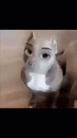 Dog Eyes GIF