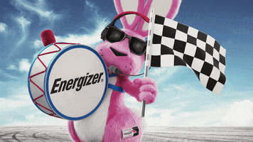 Indy 500 Win GIF by Energizer Bunny