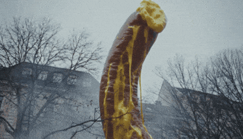 Expect The Unexpected GIF by visitlinz