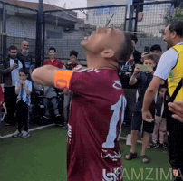 Choucha GIF