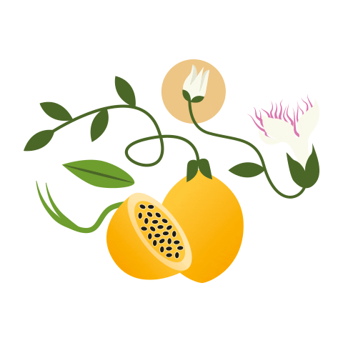 Kombuchadrink Sticker by vedakombucha