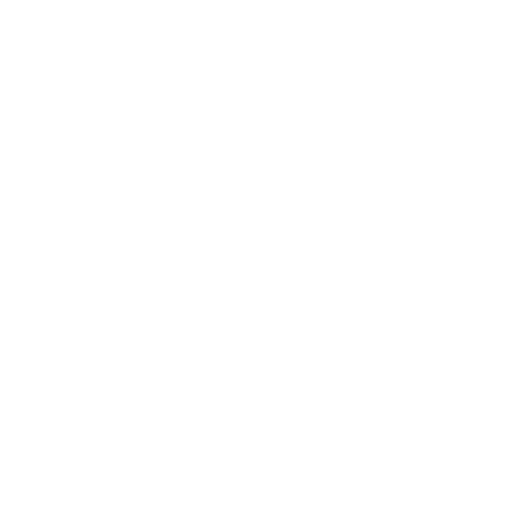 Star Estrella Sticker