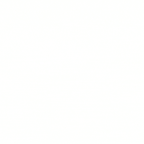 Bodo2024 GIF
