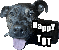 Happy Sticker