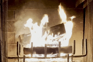 Burning Yule Log GIF by This Bushwick Life