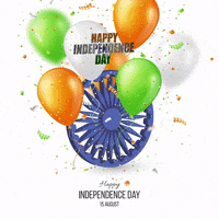 Independence Day GIF by techshida