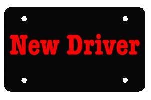 License Plate Driving School Sticker by 911 Driving School - Hilton Head