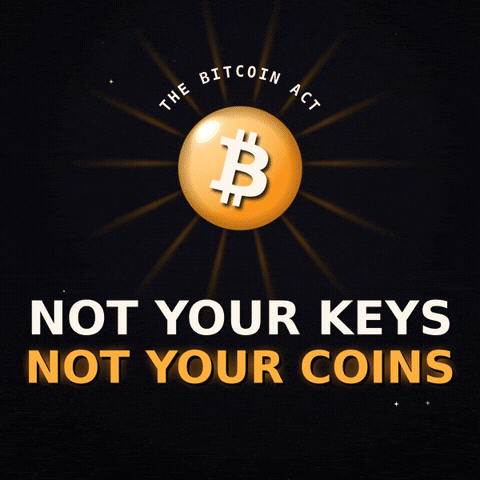 Btc GIF by The Bitcoin Act
