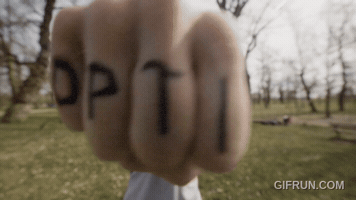 Optimizam GIF