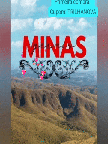 Minas Gerais GIF by Tathubola