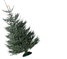 Christbaum Service Sticker