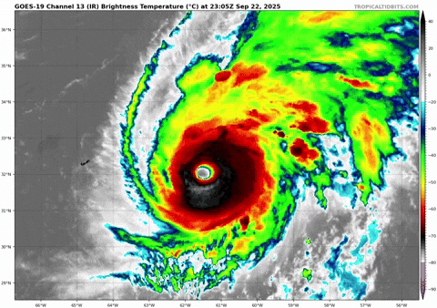 giphy.gif?cid=9b38fe912m5od13q553zv10mq4