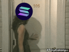 Solana GIF by Tiny Colony