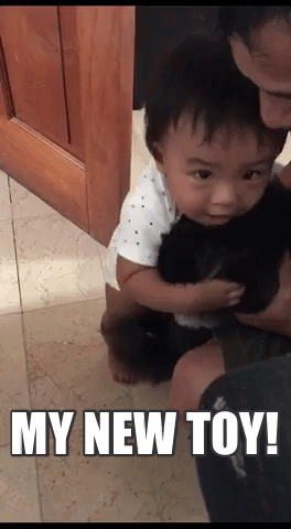 shasashabrina cat davian GIF