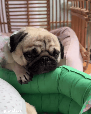 Tired Sunday GIF