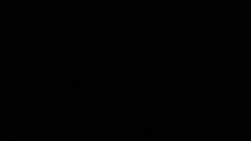 Point of Impact MMA GIF