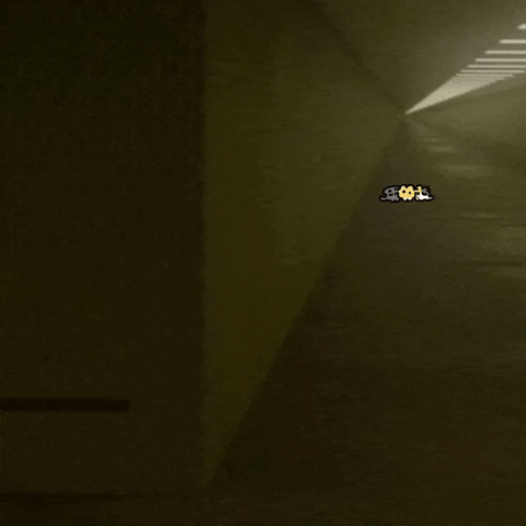 고양이 Backroom GIF