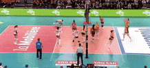 Spike GIF by NUCVolleyball