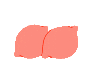 animade Sticker