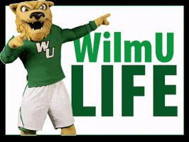 Wilmu GIF by Wilmington University