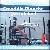 Mexico Gymnast GIF by Home and Gym