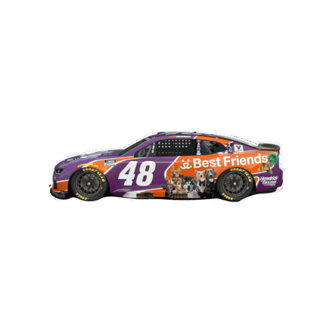 Driving Alex Bowman Sticker by Best Friends Animal Society