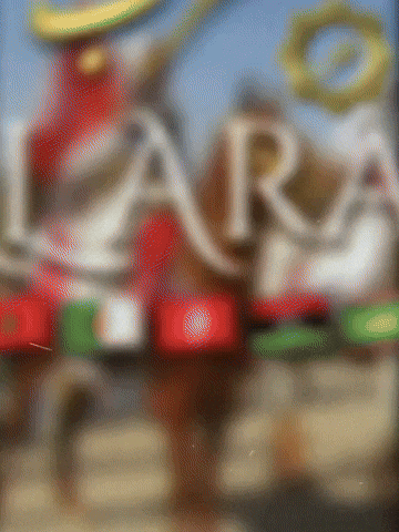 Saudi Arabia Arab GIF