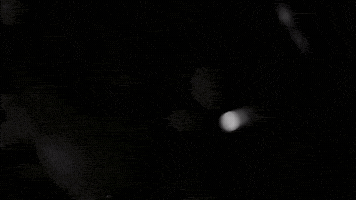 kpetersen empty lungs GIF