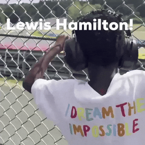 F1 Lewis GIF