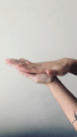 lourdes102  GIF