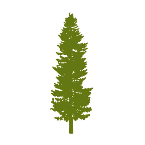 bosioinmobiliaria Sticker