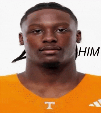 Tennessee Volunteers GIF
