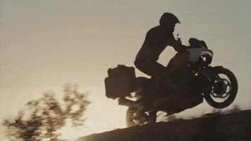 Motorcycle Racing Adventure GIF by Harley-Davidson