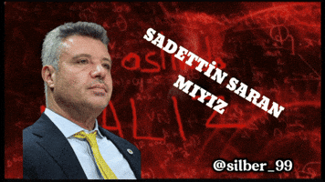 Saran Sadettin GIF