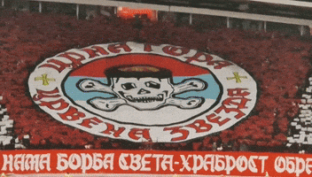 Crvena Zvezda Montenegro GIF